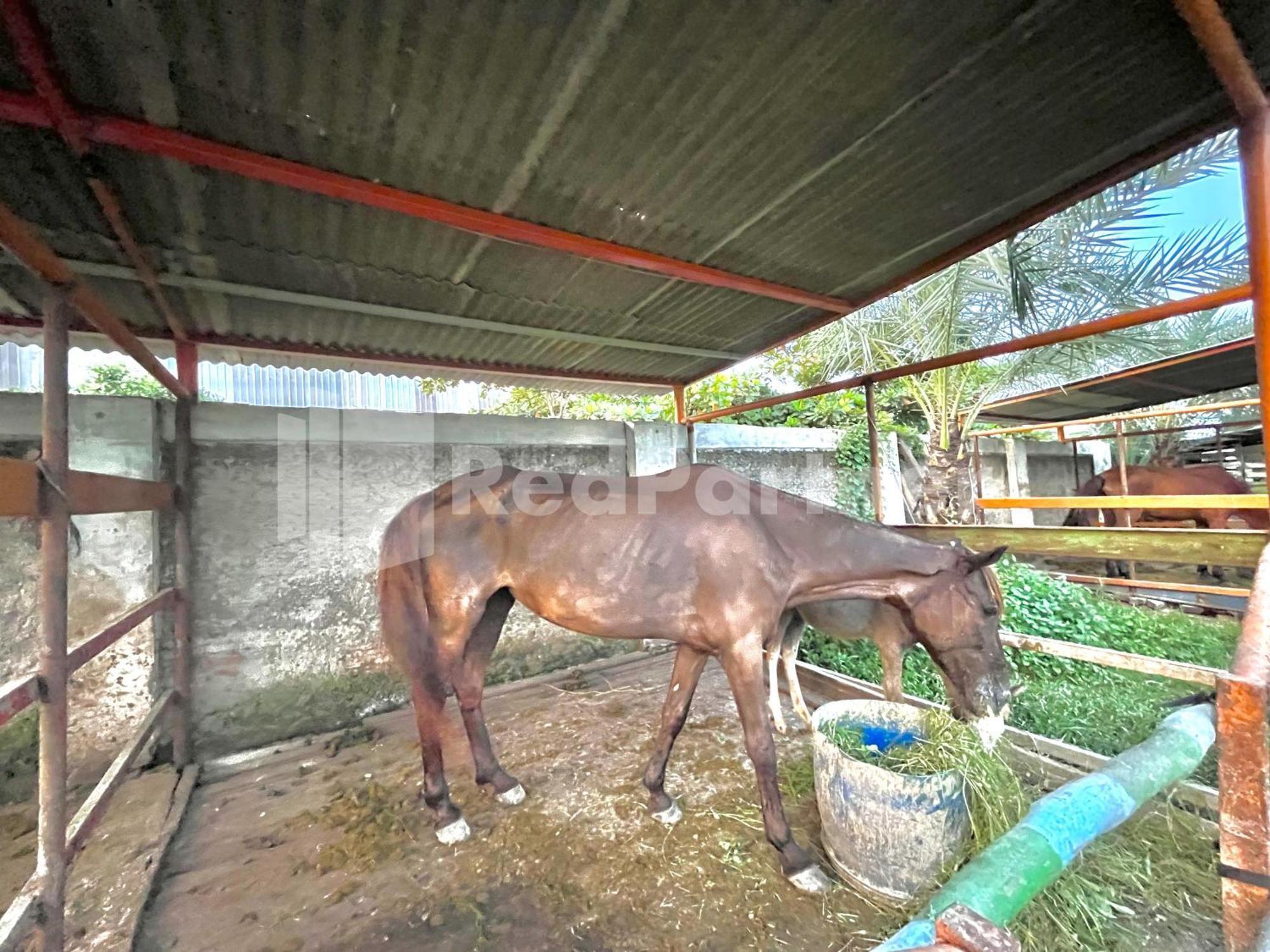 Отель Lafa Park Syariah Rengas Bandung Cikarang Redpartner Cibeber Экстерьер фото